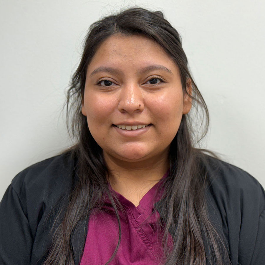 Alondra